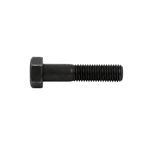 Screw